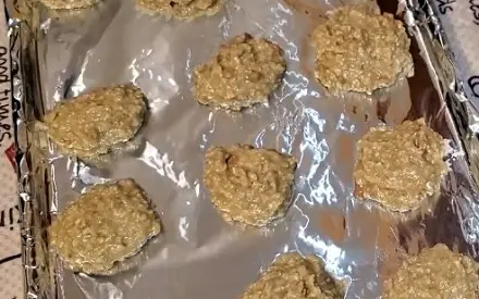 s3 Trader Joe's Oatmeal Cookie